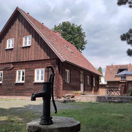 Ferienhaus Am Muehlteich Rietschen 외부 사진